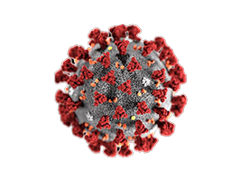 Coronavirus